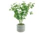 Artificial Plant with Stone Pot