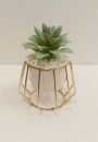 Artificial Plant